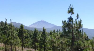 Tenerife Top 10 Attractions