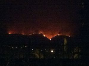 Tenerife Forest Fires