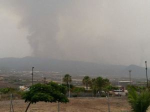 Tenerife Forest Fire Alcala